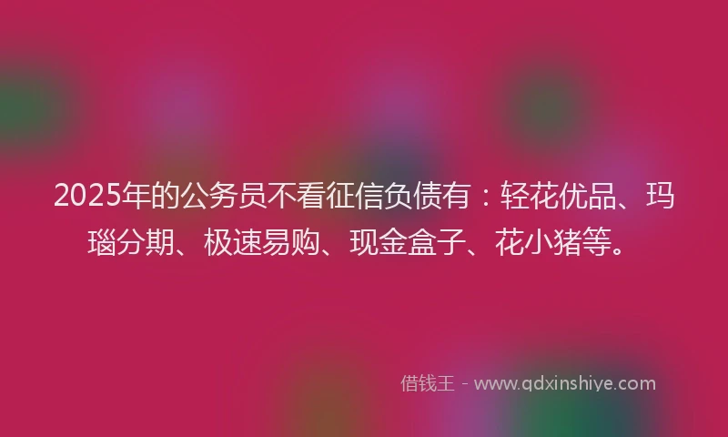 2025年的公务员不看征信负债有：轻花优品、玛瑙分期、极速易购、现金盒子、花小猪等。