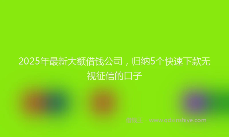 2025年最新大额借钱公司，归纳5个快速下款无视征信的口子