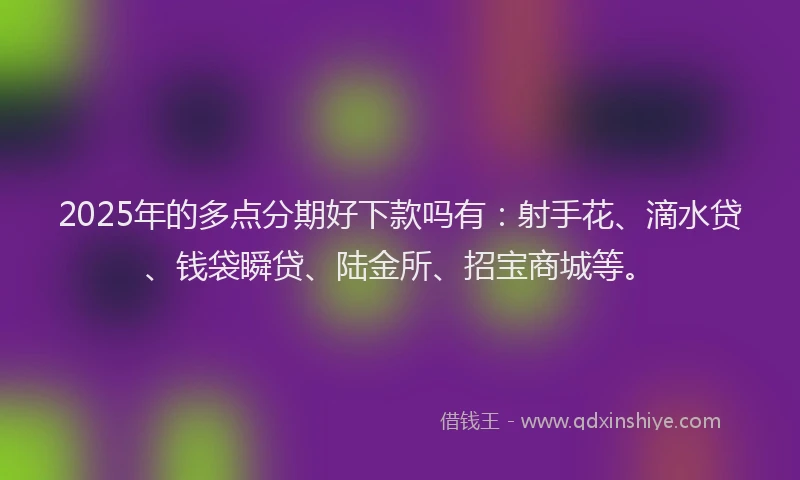 2025年的多点分期好下款吗有：射手花、滴水贷、钱袋瞬贷、陆金所、招宝商城等。