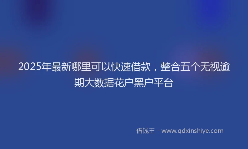2025年最新哪里可以快速借款，整合五个无视逾期大数据花户黑户平台