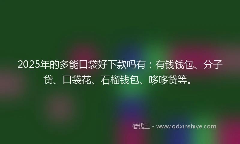 2025年的多能口袋好下款吗有：有钱钱包、分子贷、口袋花、石榴钱包、哆哆贷等。