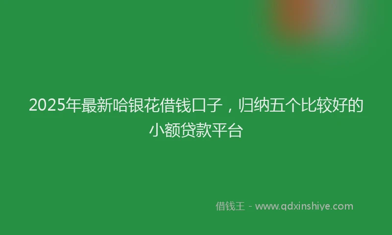 2025年最新哈银花借钱口子，归纳五个比较好的小额贷款平台