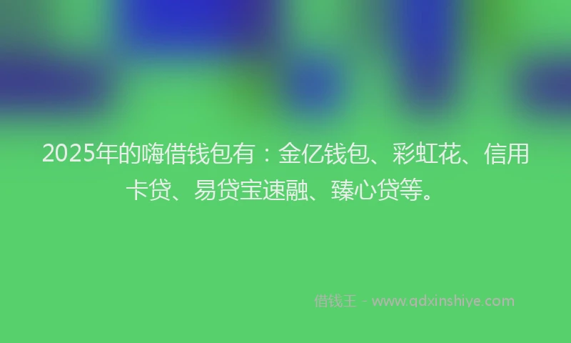 2025年的嗨借钱包有：金亿钱包、彩虹花、信用卡贷、易贷宝速融、臻心贷等。