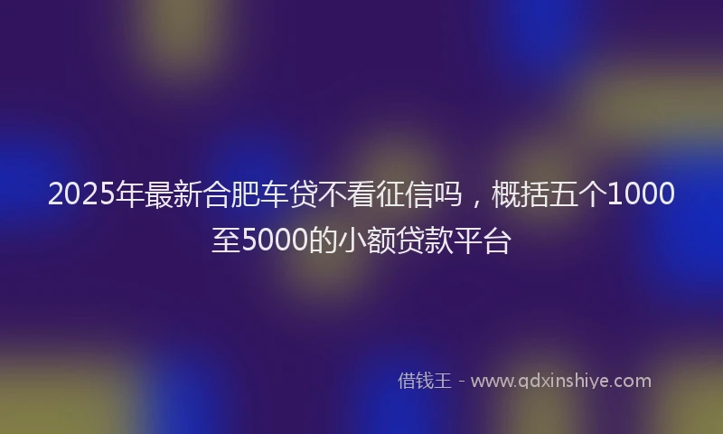 2025年最新合肥车贷不看征信吗，概括五个1000至5000的小额贷款平台