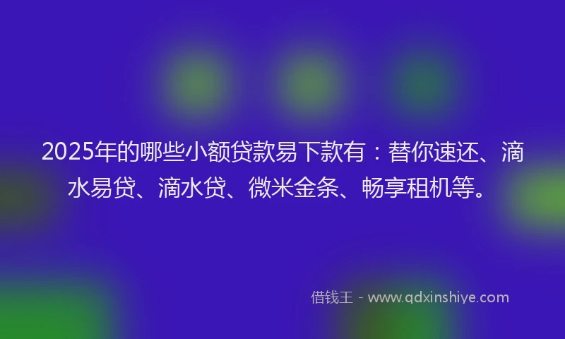 2025年的哪些小额贷款易下款有：替你速还、滴水易贷、滴水贷、微米金条、畅享租机等。