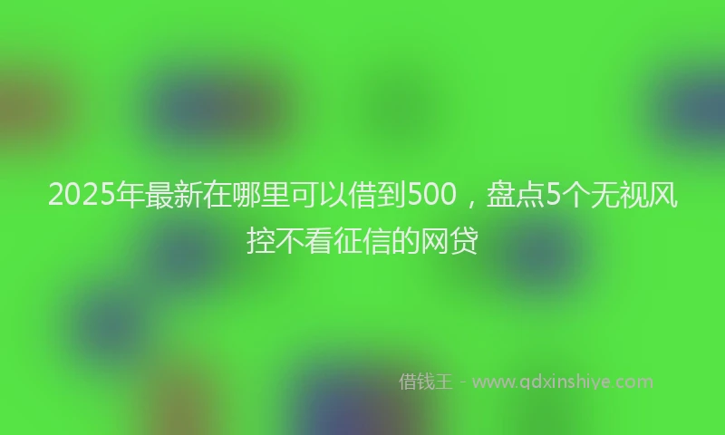2025年最新在哪里可以借到500，盘点5个无视风控不看征信的网贷