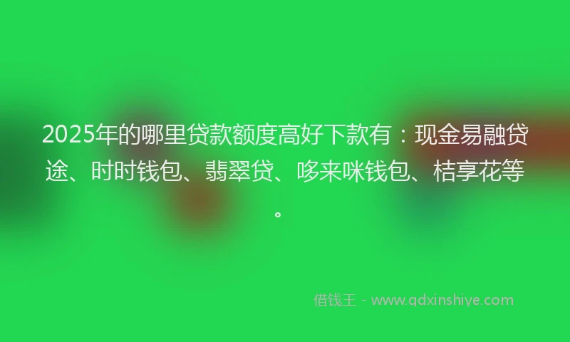 2025年的哪里贷款额度高好下款有：现金易融贷途、时时钱包、翡翠贷、哆来咪钱包、桔享花等。