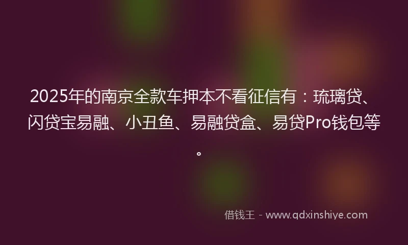 2025年的南京全款车押本不看征信有：琉璃贷、闪贷宝易融、小丑鱼、易融贷盒、易贷Pro钱包等。
