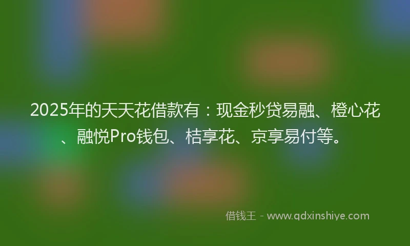 2025年的天天花借款有：现金秒贷易融、橙心花、融悦Pro钱包、桔享花、京享易付等。
