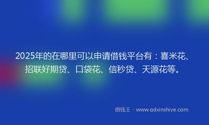2025年的在哪里可以申请借钱平台有：喜米花、招联好期贷、口袋花、信秒贷、天源花等。