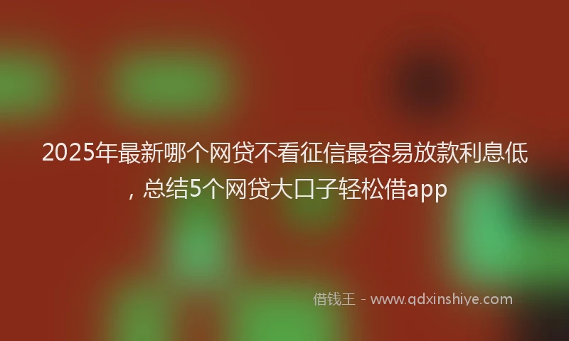 2025年最新哪个网贷不看征信最容易放款利息低，总结5个网贷大口子轻松借app