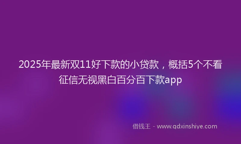 2025年最新双11好下款的小贷款，概括5个不看征信无视黑白百分百下款app