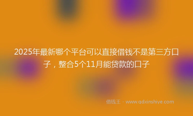 2025年最新哪个平台可以直接借钱不是第三方口子，整合5个11月能贷款的口子
