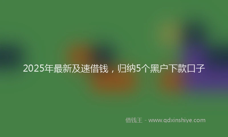 2025年最新及速借钱，归纳5个黑户下款口子