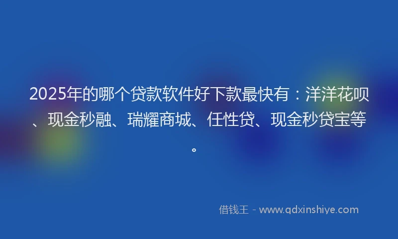 2025年的哪个贷款软件好下款最快有：洋洋花呗、现金秒融、瑞耀商城、任性贷、现金秒贷宝等。