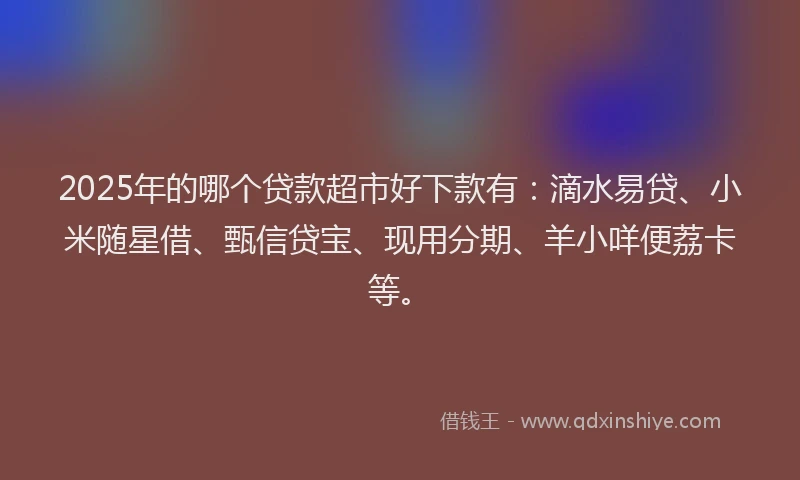 2025年的哪个贷款超市好下款有：滴水易贷、小米随星借、甄信贷宝、现用分期、羊小咩便荔卡等。