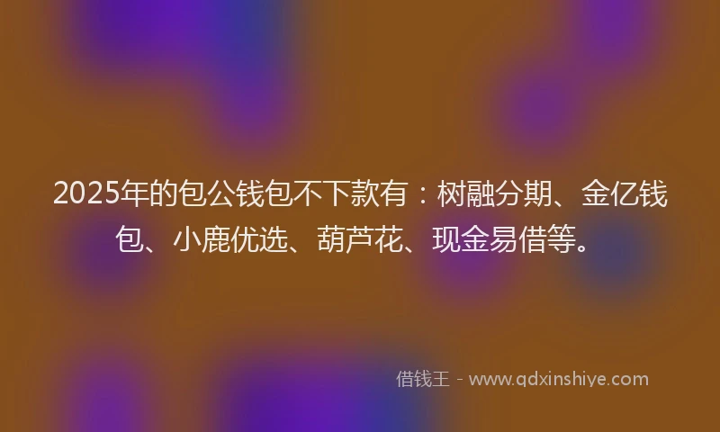 2025年的包公钱包不下款有：树融分期、金亿钱包、小鹿优选、葫芦花、现金易借等。