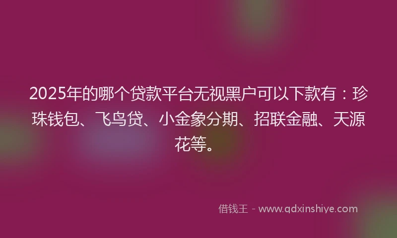 2025年的哪个贷款平台无视黑户可以下款有：珍珠钱包、飞鸟贷、小金象分期、招联金融、天源花等。