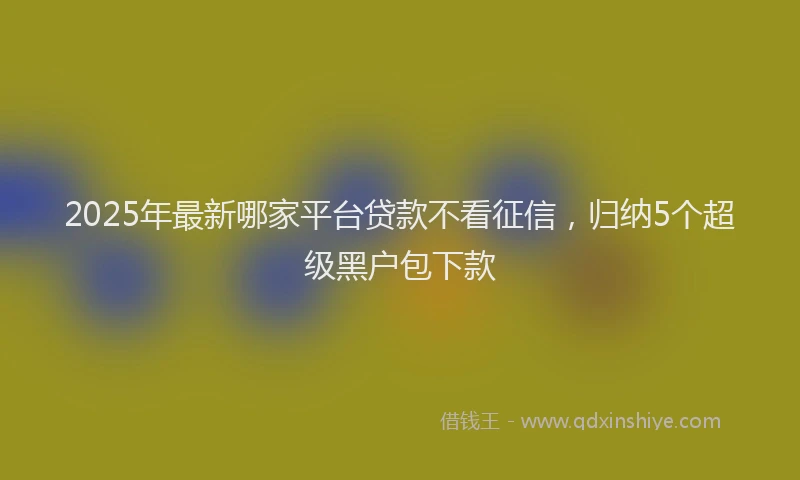 2025年最新哪家平台贷款不看征信，归纳5个超级黑户包下款