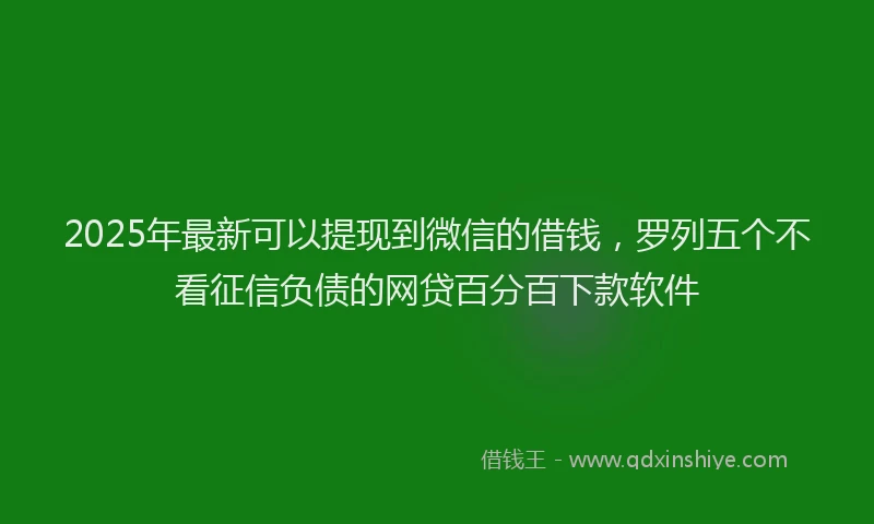 2025年最新可以提现到微信的借钱，罗列五个不看征信负债的网贷百分百下款软件