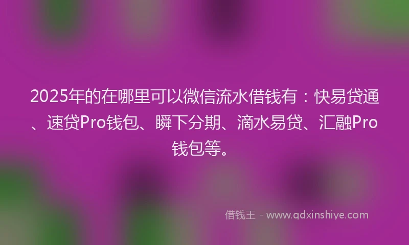 2025年的在哪里可以微信流水借钱有：快易贷通、速贷Pro钱包、瞬下分期、滴水易贷、汇融Pro钱包等。