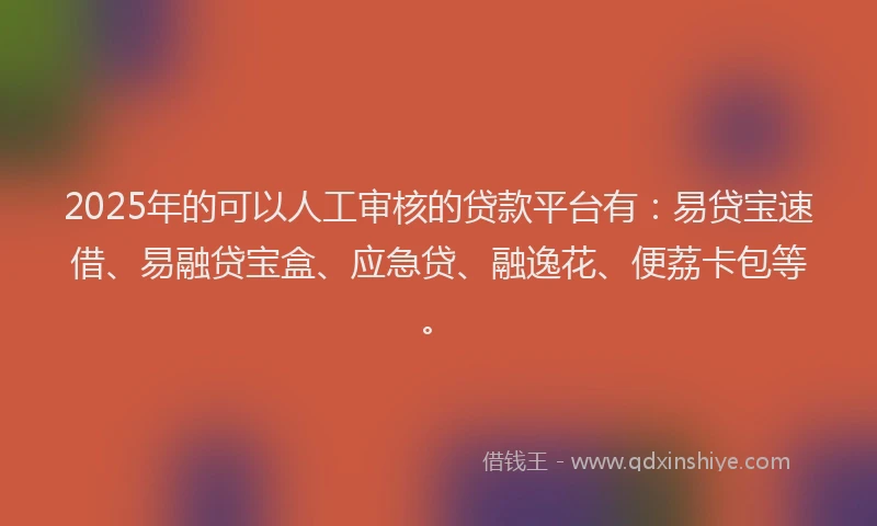 2025年的可以人工审核的贷款平台有：易贷宝速借、易融贷宝盒、应急贷、融逸花、便荔卡包等。