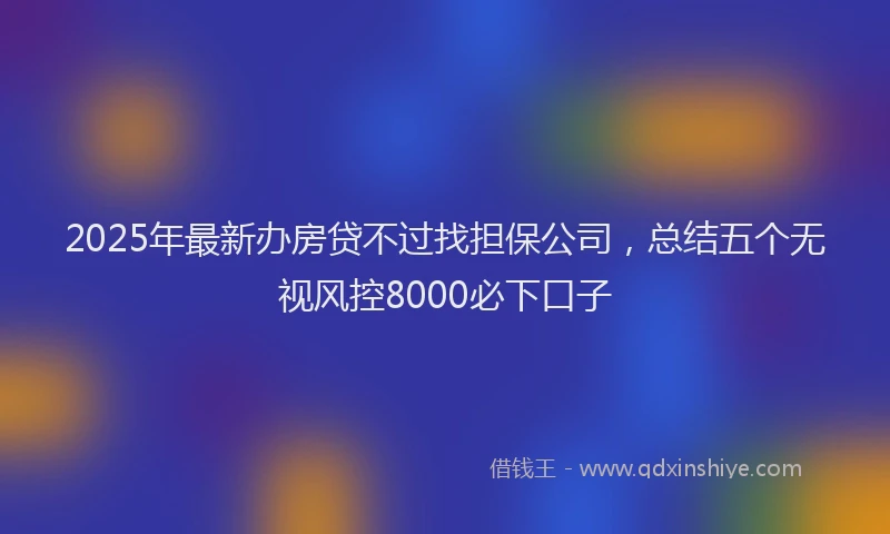 2025年最新办房贷不过找担保公司，总结五个无视风控8000必下口子