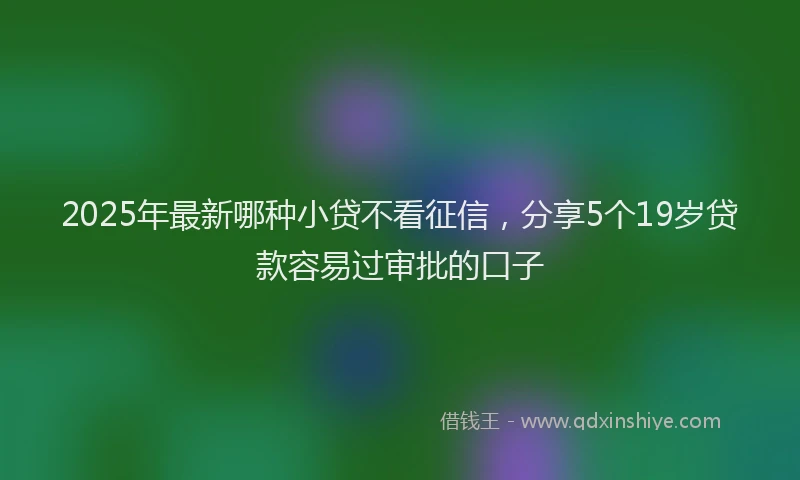 2025年最新哪种小贷不看征信，分享5个19岁贷款容易过审批的口子