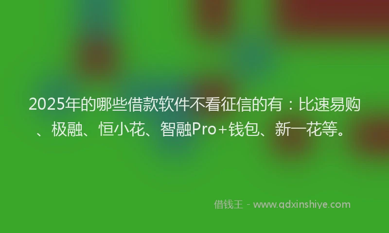 2025年的哪些借款软件不看征信的有：比速易购、极融、恒小花、智融Pro+钱包、新一花等。