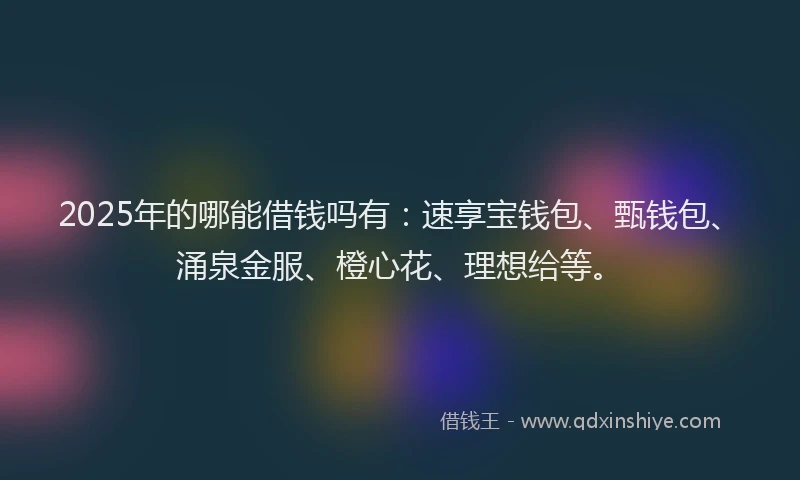 2025年的哪能借钱吗有：速享宝钱包、甄钱包、涌泉金服、橙心花、理想给等。