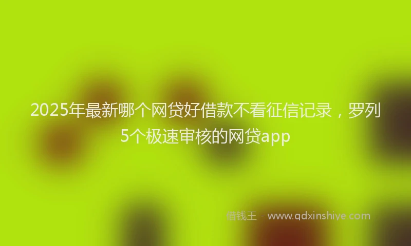 2025年最新哪个网贷好借款不看征信记录，罗列5个极速审核的网贷app