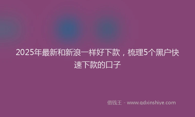 2025年最新和新浪一样好下款，梳理5个黑户快速下款的口子