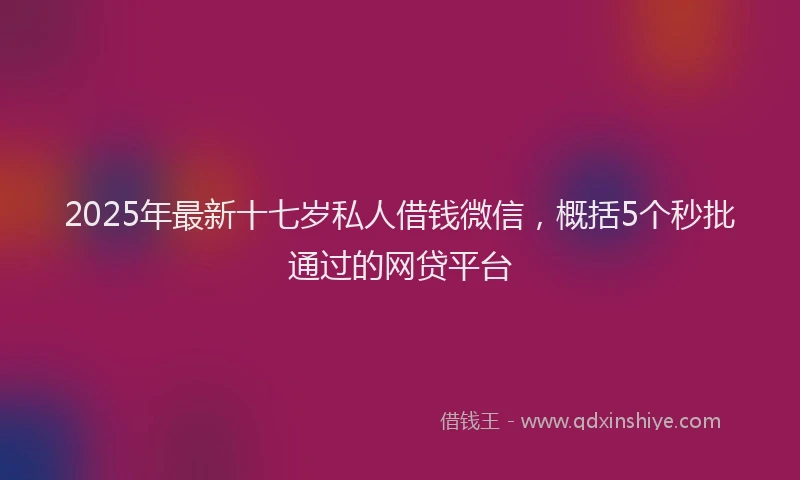 2025年最新十七岁私人借钱微信，概括5个秒批通过的网贷平台
