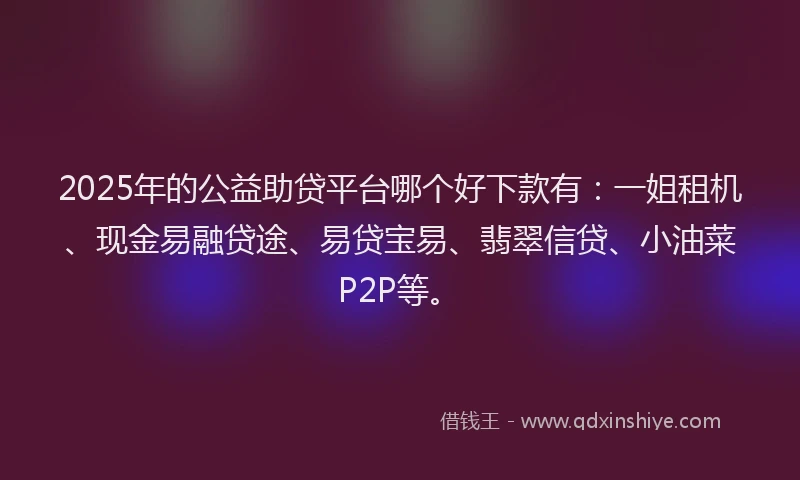 2025年的公益助贷平台哪个好下款有：一姐租机、现金易融贷途、易贷宝易、翡翠信贷、小油菜P2P等。