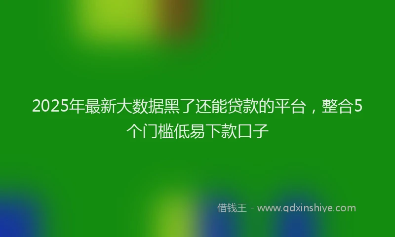 2025年最新大数据黑了还能贷款的平台，整合5个门槛低易下款口子