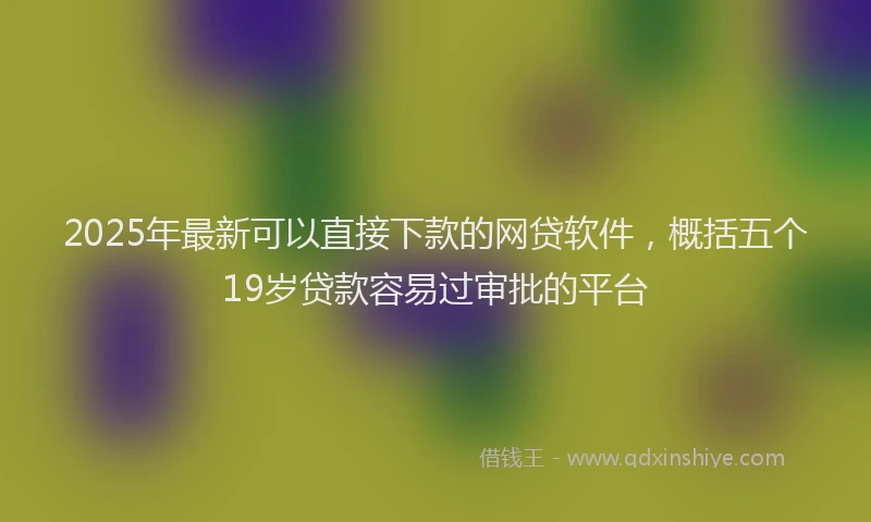 2025年最新可以直接下款的网贷软件，概括五个19岁贷款容易过审批的平台