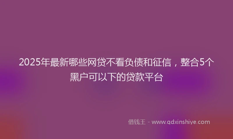 2025年最新哪些网贷不看负债和征信，整合5个黑户可以下的贷款平台