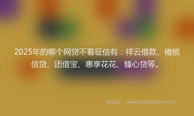 2025年的哪个网贷不看征信有：祥云借款、橄榄信贷、团借宝、惠享花花、臻心贷等。