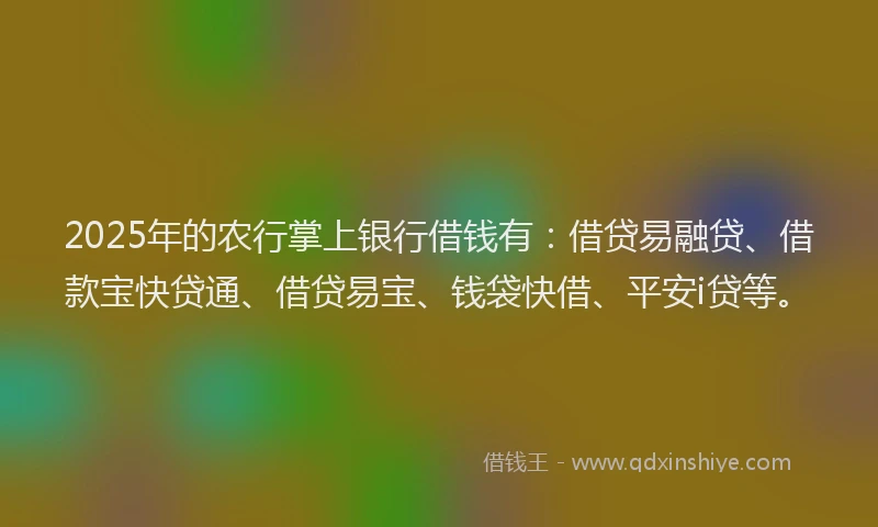 2025年的农行掌上银行借钱有：借贷易融贷、借款宝快贷通、借贷易宝、钱袋快借、平安i贷等。