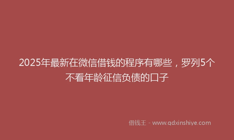 2025年最新在微信借钱的程序有哪些，罗列5个不看年龄征信负债的口子