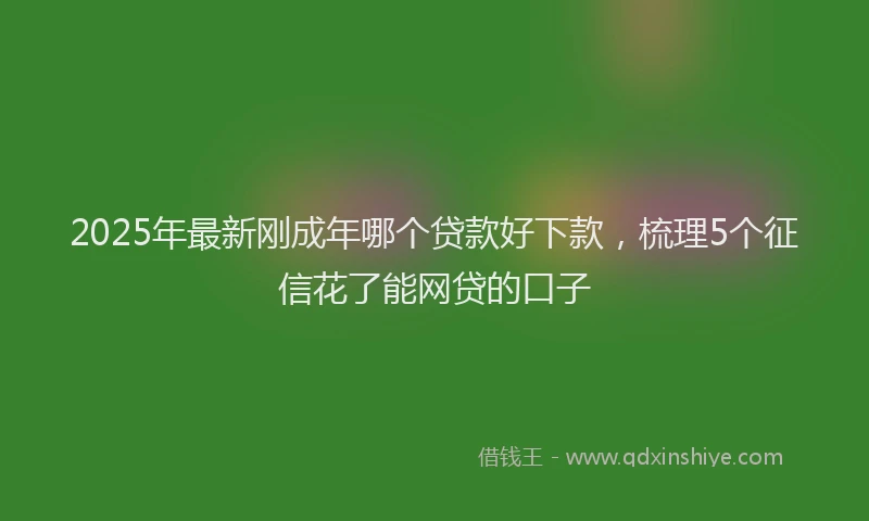2025年最新刚成年哪个贷款好下款，梳理5个征信花了能网贷的口子