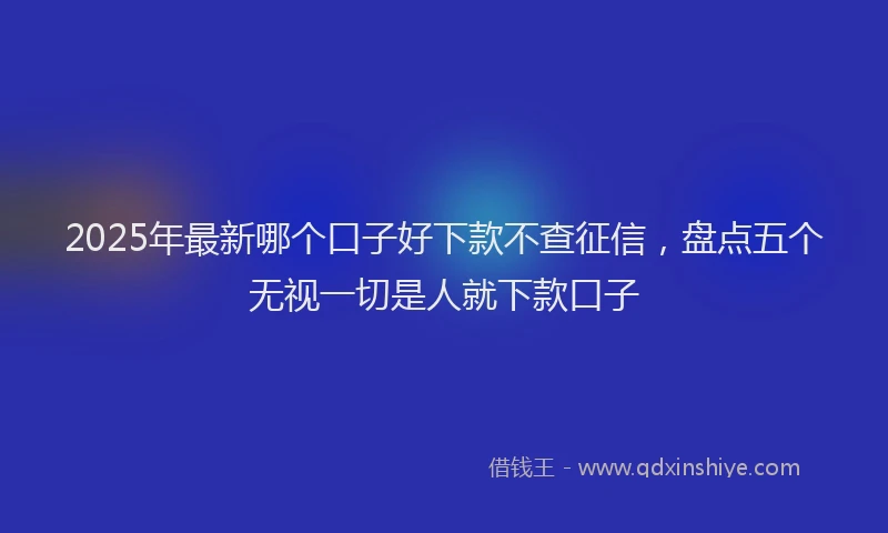 2025年最新哪个口子好下款不查征信，盘点五个无视一切是人就下款口子