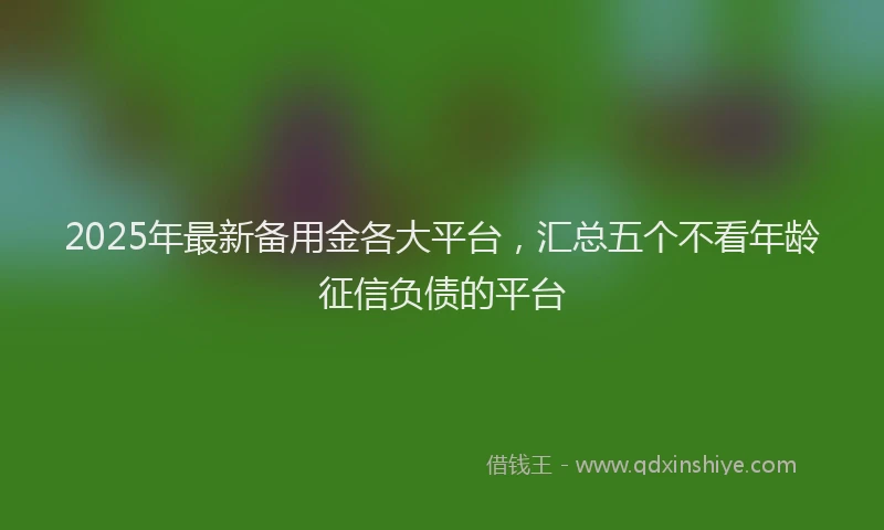 2025年最新备用金各大平台，汇总五个不看年龄征信负债的平台