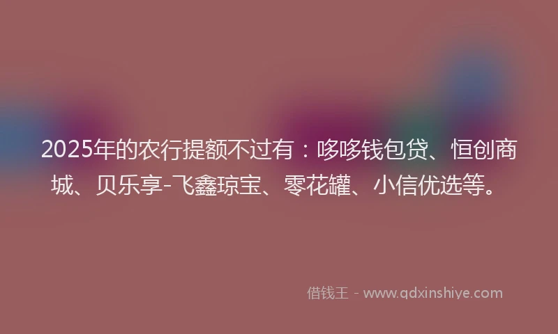 2025年的农行提额不过有：哆哆钱包贷、恒创商城、贝乐享-飞鑫琼宝、零花罐、小信优选等。