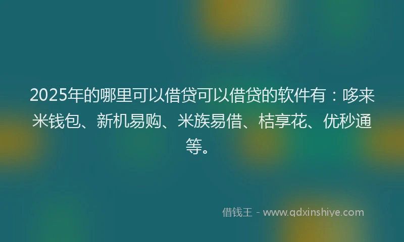 2025年的哪里可以借贷可以借贷的软件有：哆来米钱包、新机易购、米族易借、桔享花、优秒通等。