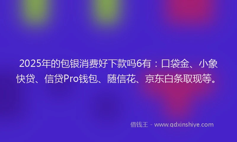 2025年的包银消费好下款吗6有：口袋金、小象快贷、信贷Pro钱包、随信花、京东白条取现等。
