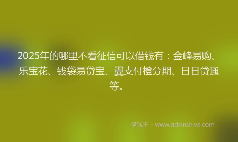 2025年的哪里不看征信可以借钱有：金峰易购、乐宝花、钱袋易贷宝、翼支付橙分期、日日贷通等。
