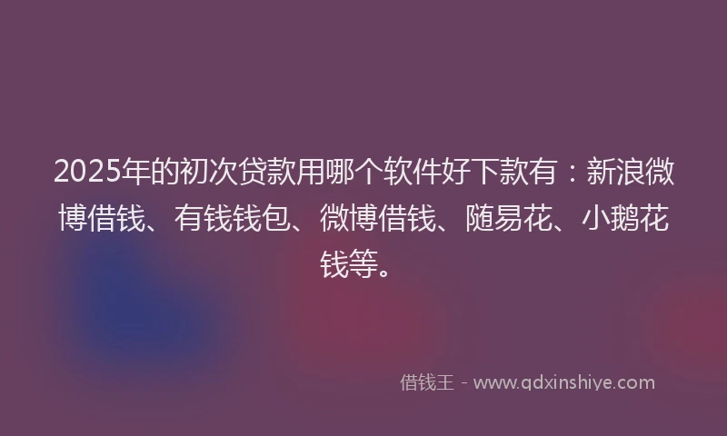 2025年的初次贷款用哪个软件好下款有：新浪微博借钱、有钱钱包、微博借钱、随易花、小鹅花钱等。