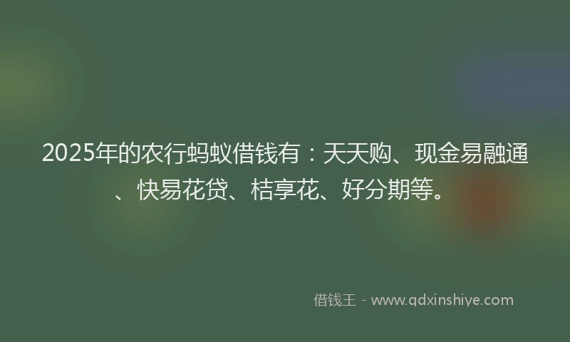 2025年的农行蚂蚁借钱有：天天购、现金易融通、快易花贷、桔享花、好分期等。