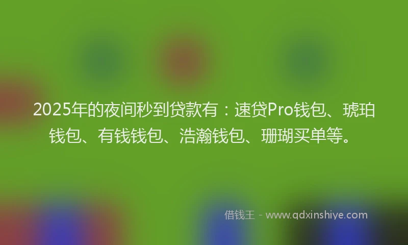 2025年的夜间秒到贷款有：速贷Pro钱包、琥珀钱包、有钱钱包、浩瀚钱包、珊瑚买单等。